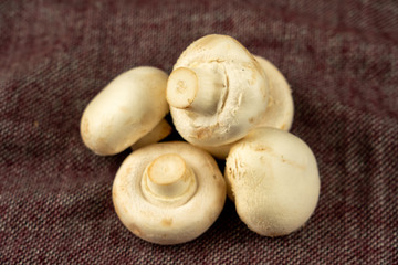 mushrooms on a cutting board