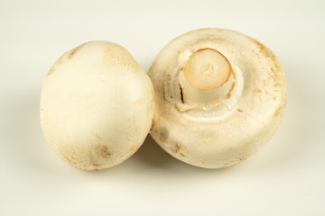 mushrooms on white background