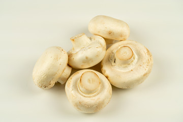 fresh mushrooms on white background