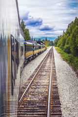 Train going on a railroad track to Denali National Park Alaska - obrazy, fototapety, plakaty