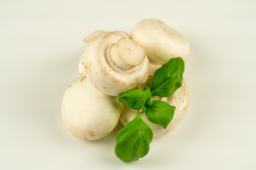 Mushrooms with basil