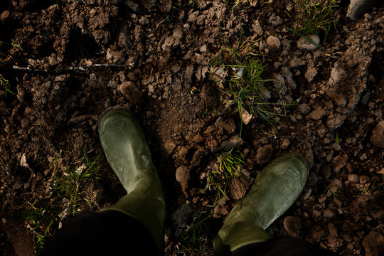 Wellingtons on soil