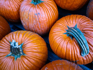Pumpkins at the market ready for sale