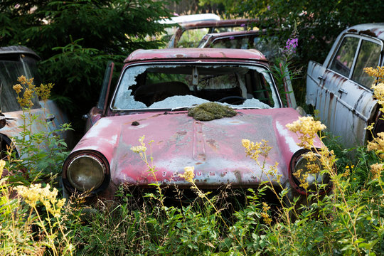 Old Abandoned Cars