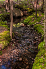 Eastern Creek Acadia Maine Number2