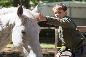 Niño con su mejor amigo, su caballo blanco.  - obrazy, fototapety, plakaty