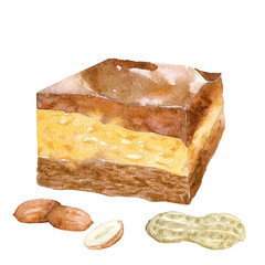 Watercolor peanut fudge cake