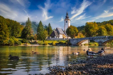 Selbstklebende Fototapeten Scenic view of Lake Bohinj church with beautiful colorful foliage, Slovenia © Martin M303