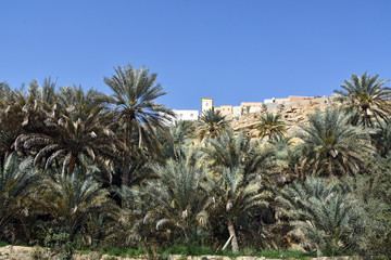 Fototapeta SultSultanate of Oman, Wadi Bani Khalid, Bada Village obraz