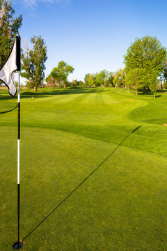 golf course view of putting green and flag pole