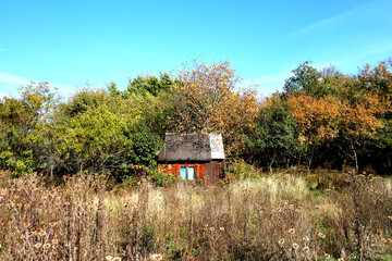 Old abandoned shack in overgrown grass in autumn season