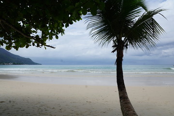 insel seychellen im indischen ozean