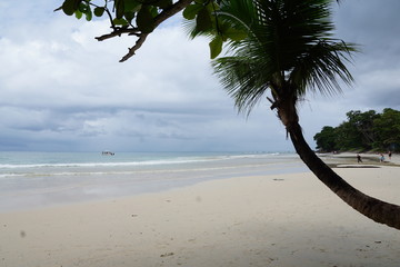 insel seychellen im indischen ozean