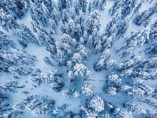 Naklejka na ściany i meble Aerial photo from Rovaniemi Finland.