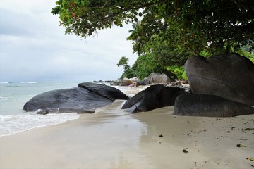 insel seychellen im indischen ozean