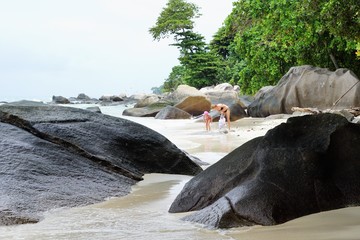 insel seychellen im indischen ozean