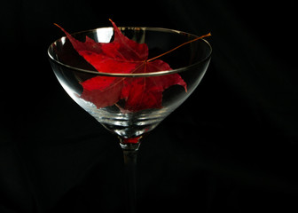 Beautiful Red Fall leaf resting inside elegant cocktail glass
