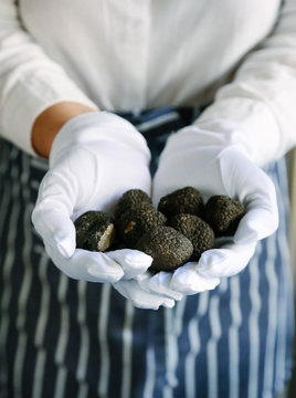 Black truffles in waiter's hands