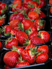 Fresh strawberries in pint baskets for sale at farmers market