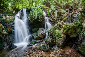 Small waterfall in the dark forest. Waterfalls and vegetation inside the Bwindi Impenetrable Forest