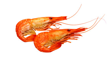 Cooked Prawns or Tiger Shrimps. Seafood.