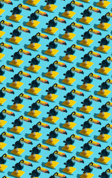 Playing Blocks Bird / Toucan
