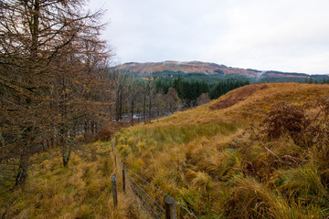 Scottish Highlands