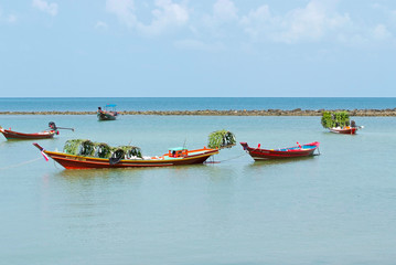 beautiful seascape wiht boats in Thailand