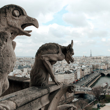 Notre Dame Cathedral Gargoyles Looking Over Paris, France.