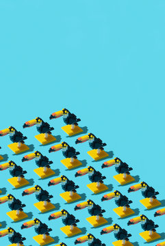 Playing Blocks Bird / Toucan