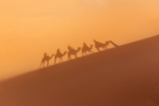 Shadow of a camel caravan in the desert