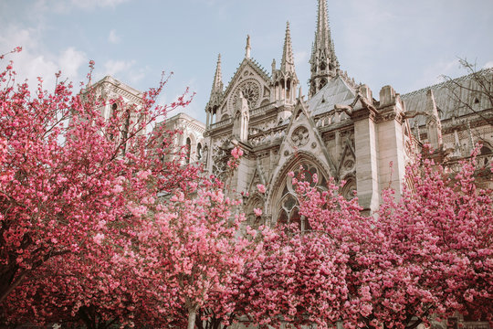 Notre Dame cathedral Paris