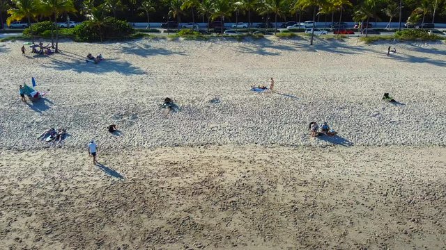 Aerial footage dogs on the beach
