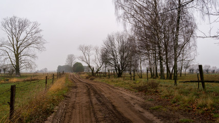 Nostalgiczny jesienny krajobraz z wierzbami, Podlaskie łąki, Jesień na Podlasiu, Polska
