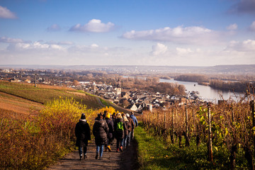 Weinwanderung R&uuml;desheim