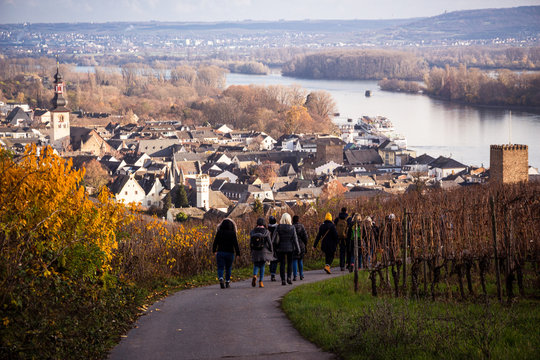 Weinwanderung R&uuml;desheim 