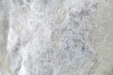 close up ocean shell structure background