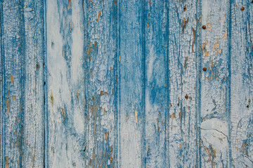 Blue wooden wall, old wood planks texture, grunge background, abstract interior design 