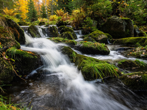 Die kleine Ohe im Nationalpark Bayerischer Wald