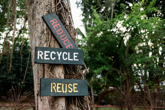 Recycle and reuse sign in a park