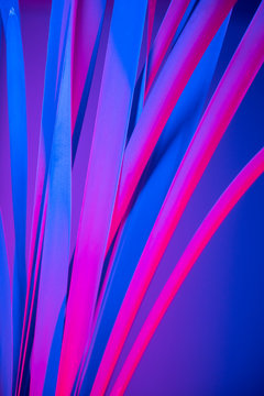 Vibrant floral background