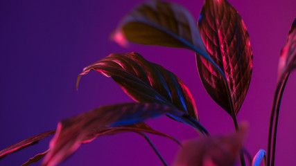 Abstract floral background.