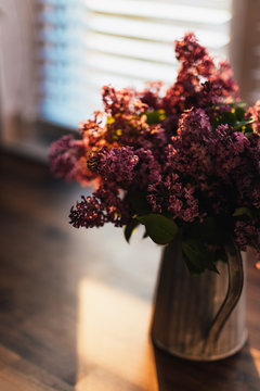 Lilac in kitchen