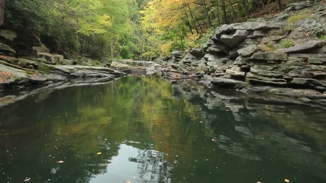 A tranquil river ripples in the breeze while autumn leaves drift down from the trees downstream.