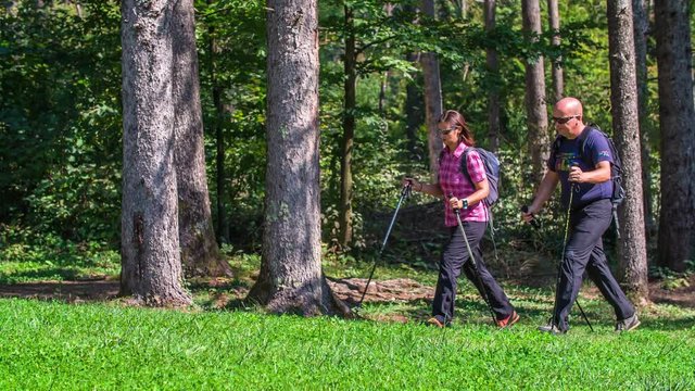 A middle-aged couple is walking on a forest path with hiking poles in their hands. The weather is perfect for outdoor activities.