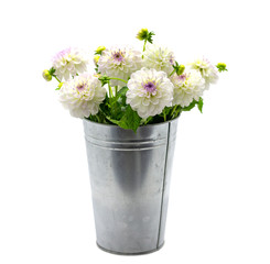 white dahlia in a vase on a dark background