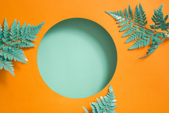 Creative Summer Frame Of Layout Green Leaves