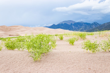 Dunes beneath the mountain