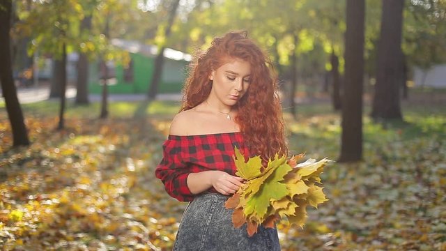 Portrait charming amazing beautiful young woman with gorgeous thick curly red hair with bouquet of autumn yellow leaves smile and stands in pictorial city park among trees with natural contra sunlight