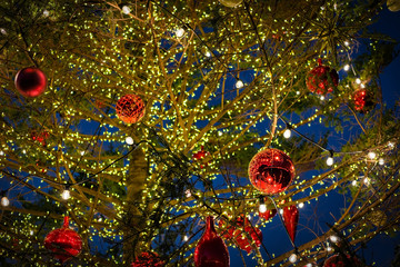 Fototapeta na wymiar Yokohama Christmas Tree